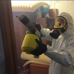 Уничтожение клопов в квартире. Торжок